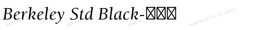 Berkeley Std Black字体转换